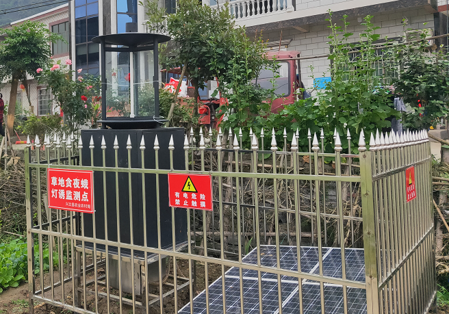 智能蟲情測報燈